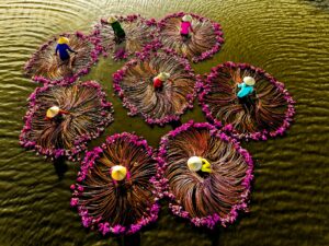 Croisière Mékong 2 jours : Explorez les trésors cachés du delta Vietnamien