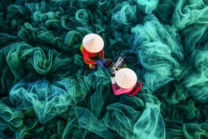 Quelle est la meilleure période pour voyager au Vietnam?