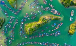 Cat Ba : Que faire, météo, itinéraire, plages, randonnées et bons plans pour un voyage nature au Vietnam