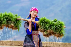 Formalités voyage Vietnam : Ce que vous devez savoir pour un séjour sans tracas