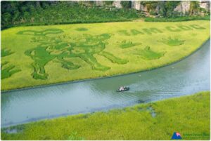 Tam Coc – baie d’Halong terrestre: un décor féerique du Nord