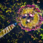 Circuit Vietnam Sud 10 jours: Explorez les trésors cachés du Sud Vietnam