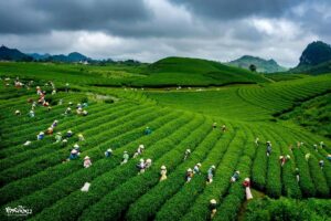 Voyage organisé au Vietnam