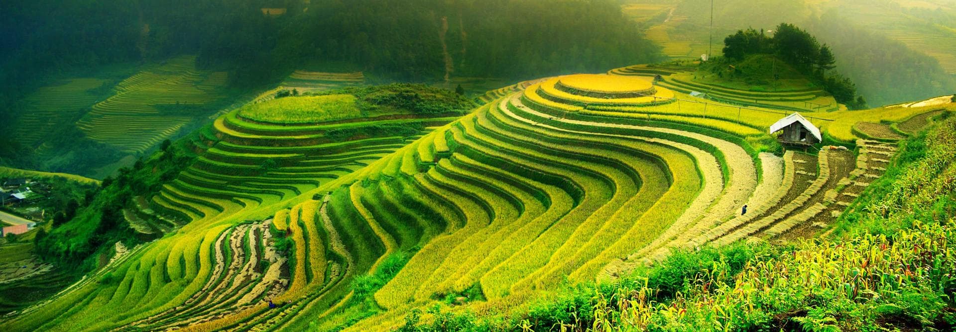 Rizieres En Terraces Splendeur Du Grand Tableau Naturel Du Haut Tonkin Agence Locale De Voyage Sur Mesure Vietnam Cambodge Laos