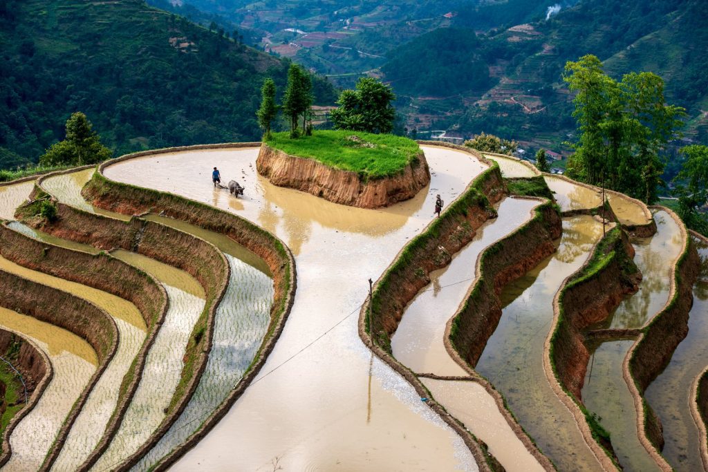 agence locale vietnam en avril