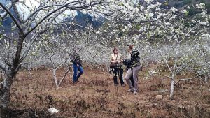 agence de voyage locale vietnam