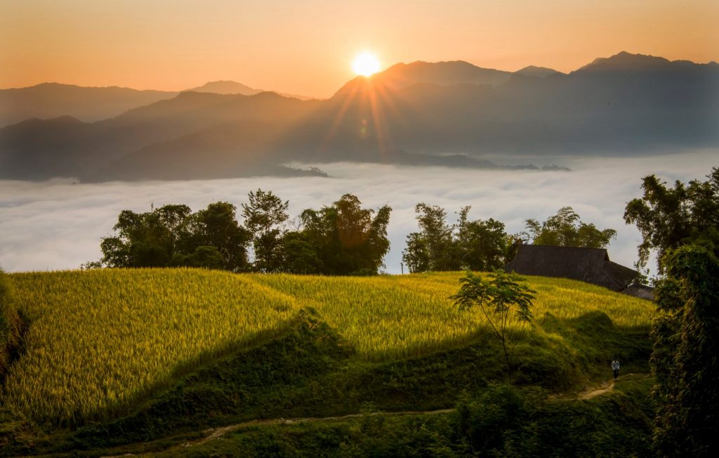 hoang-su-phi rizières en terrasse