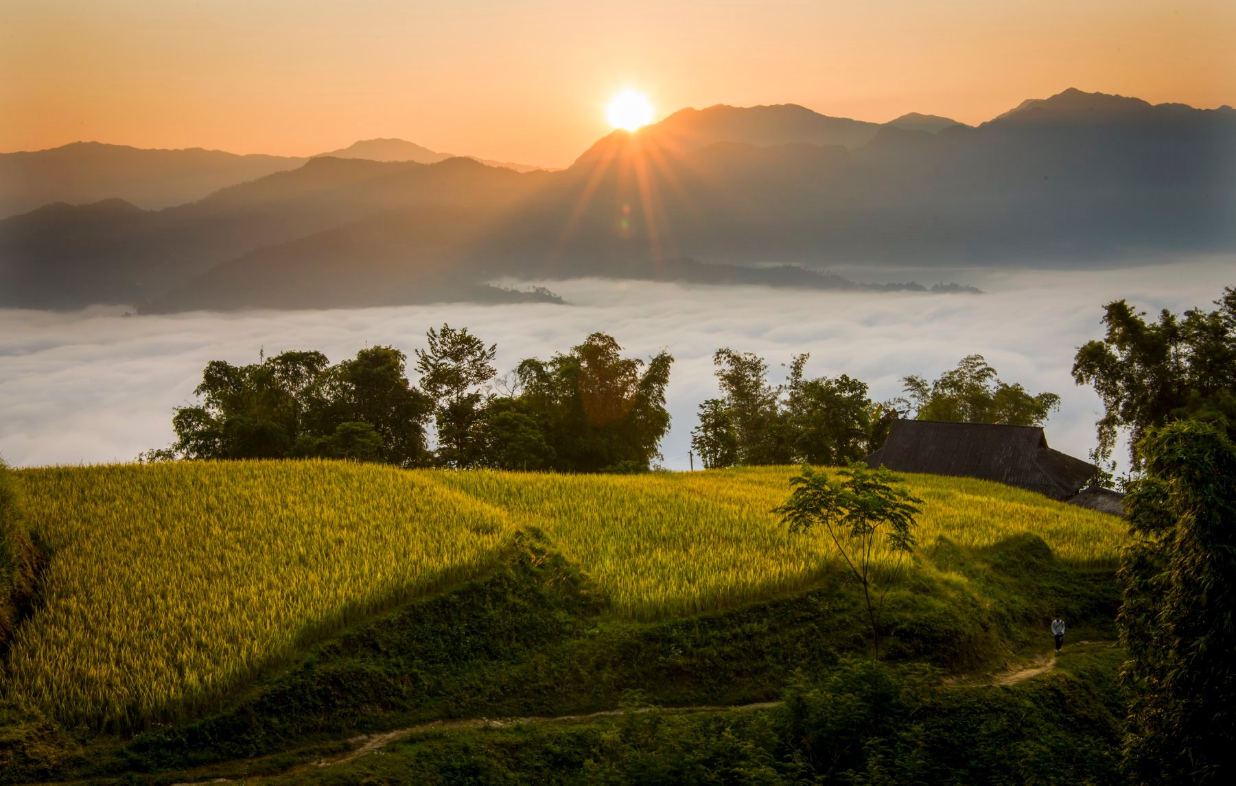 hoang-su-phi