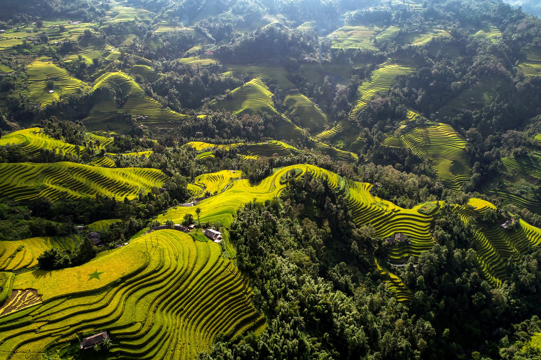 hoang-su-phi