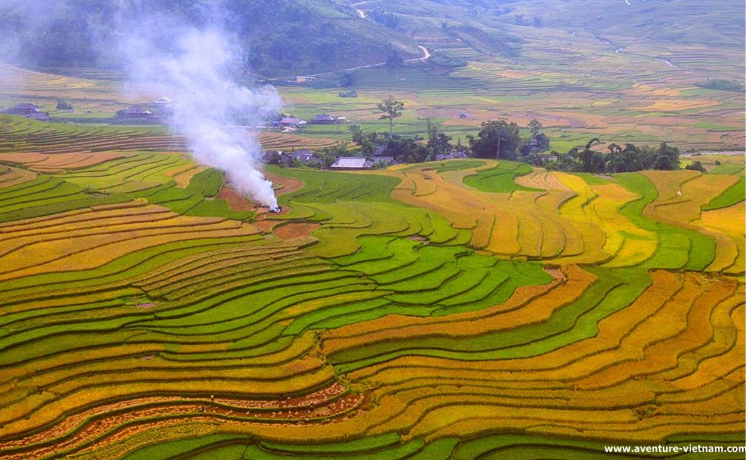 mu-cang-chai