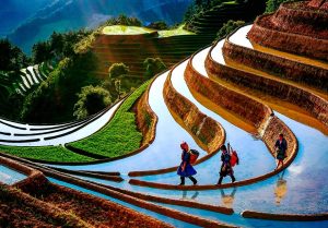 Quand partir au Vietnam ? Meilleure période pour visiter le Vietnam