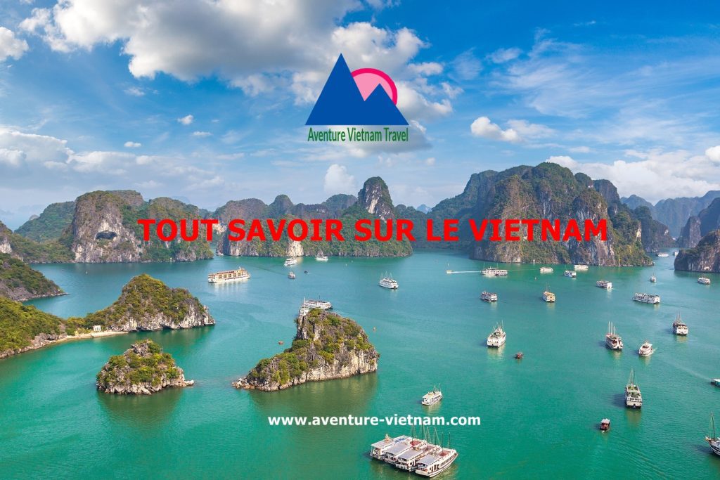 tout-savoir-vietnam