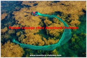 Forum voyage Vietnam : avis, conseils, itinéraires, bons plans entre voyageurs francophones