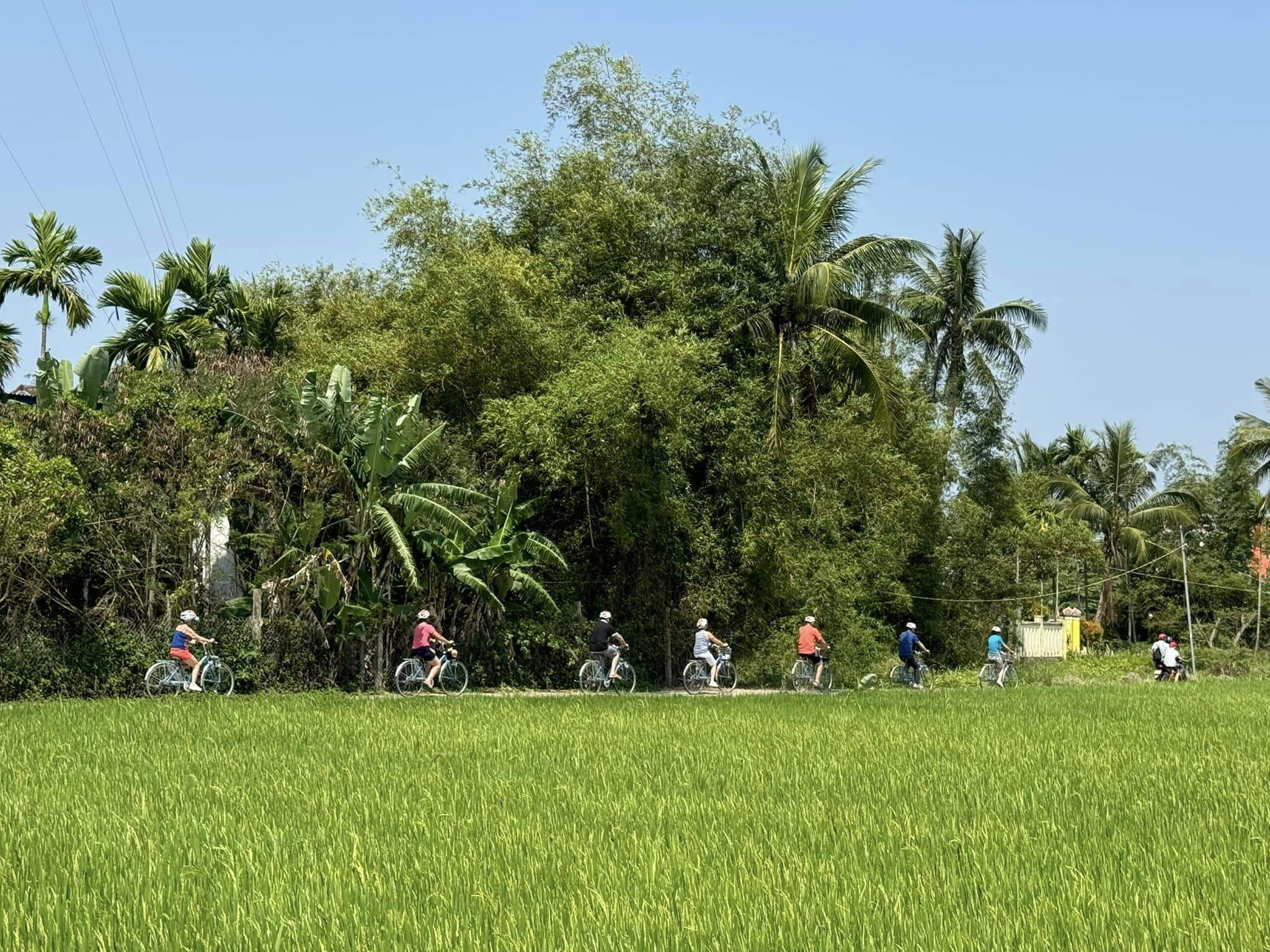 hoi an circuit vietnam