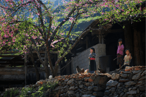 Ha Giang Loop 4 jours: L’aventure ultime au cœur des montagnes du Vietnam