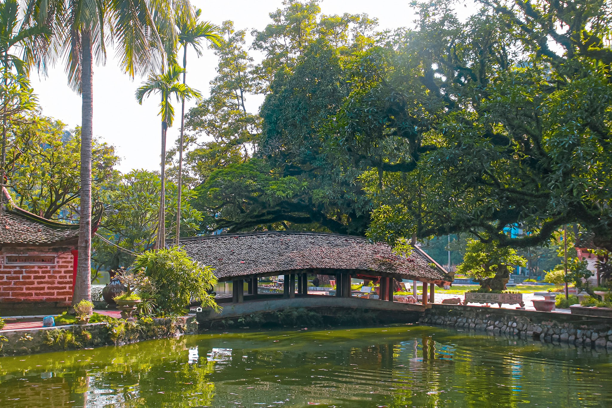 pagode-chua-thay