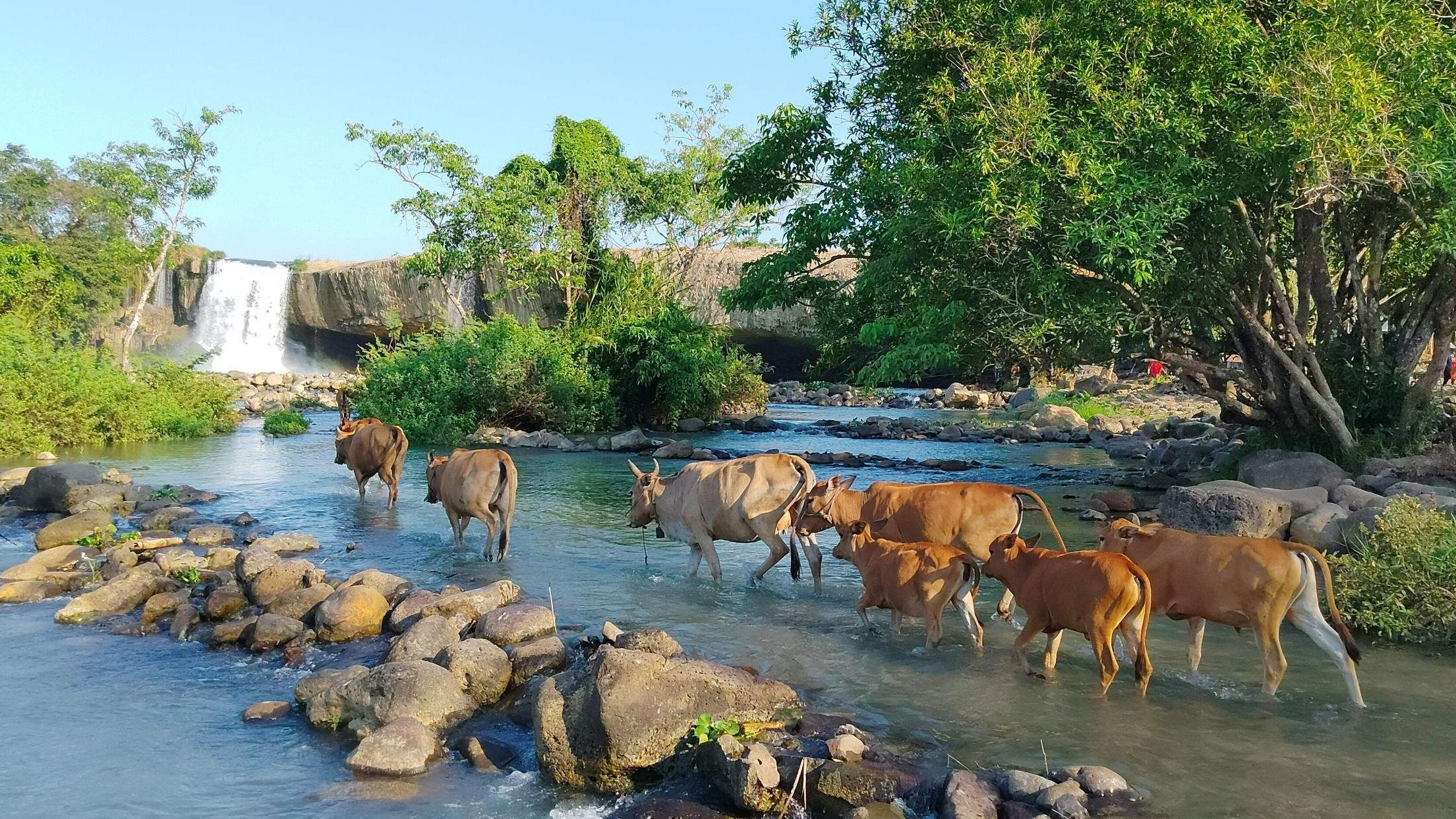 buon ma thuot aux Hauts Plateaux