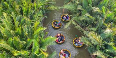 la-foret-de-cocotiers-deau-de-Bay-Mau