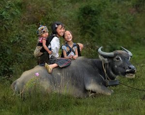 Voyage Vietnam 15, 21 ou 30 jours : Comment organiser votre voyage  inoubliable ?