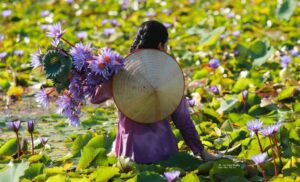Paysages et portraits du Nord Vietnam autrement – 3 semaines.