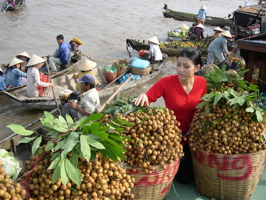 mekong vietnam
