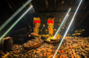 Circuit Vietnam 3 semaines: que faire, que voir, quelle période et quel budget?