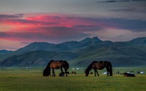 Aventure hivernale époustouflante en Mongolie
