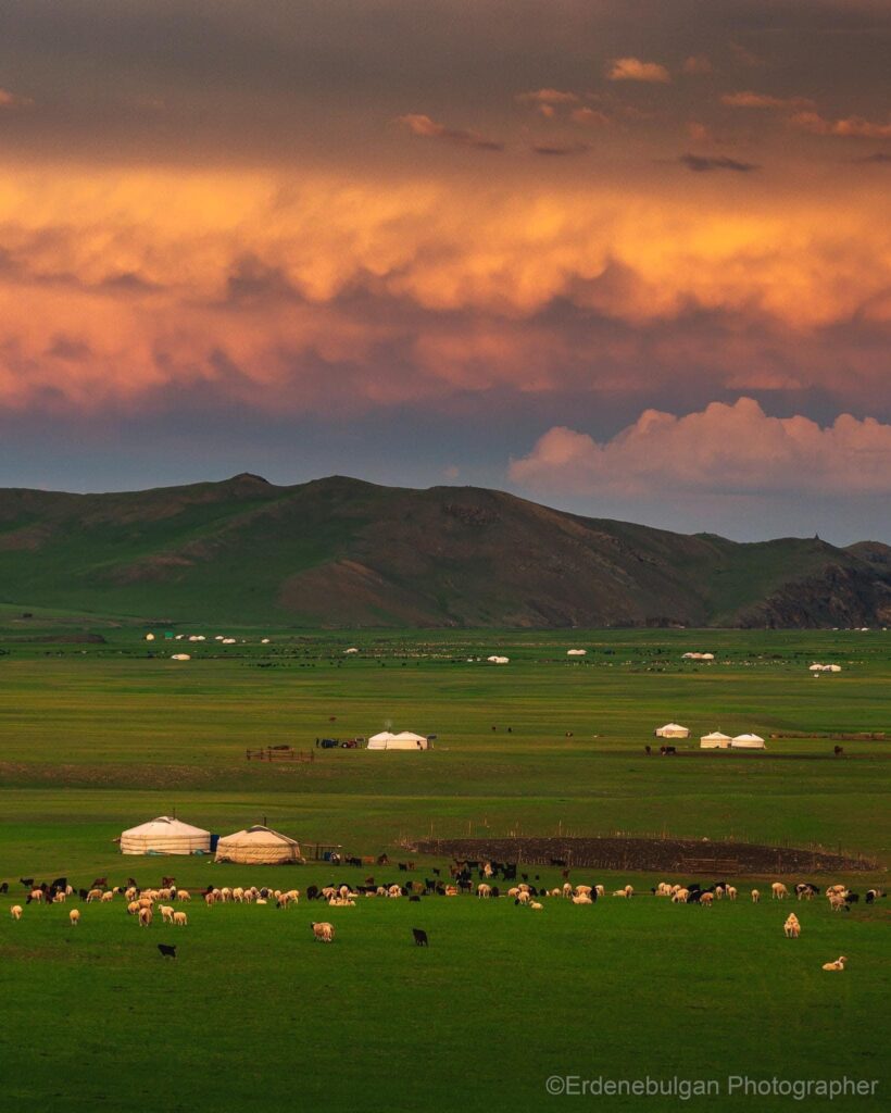 MONGOLIE