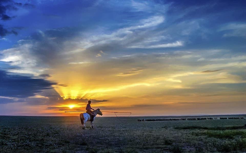 MONGOLIE