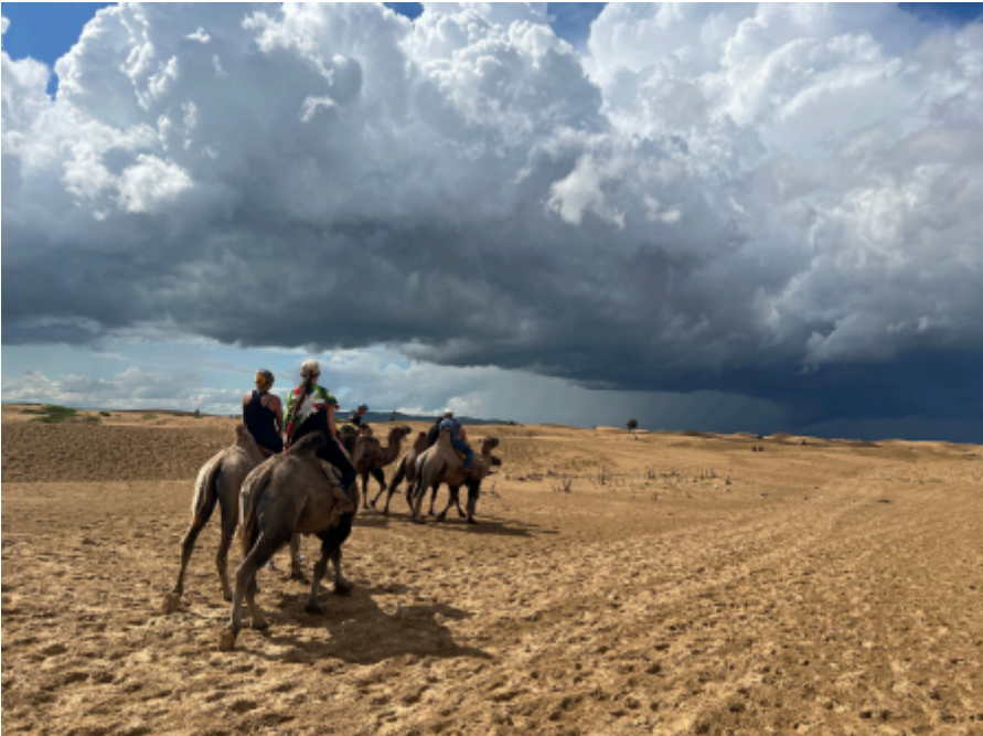 Mongolie