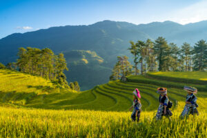 Circuit de randonnée à Sapa hors des sentiers battus en 3 jours