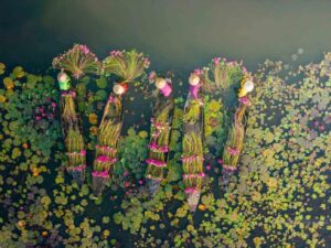 Circuit Vietnam du Sud au Nord 3 semaines