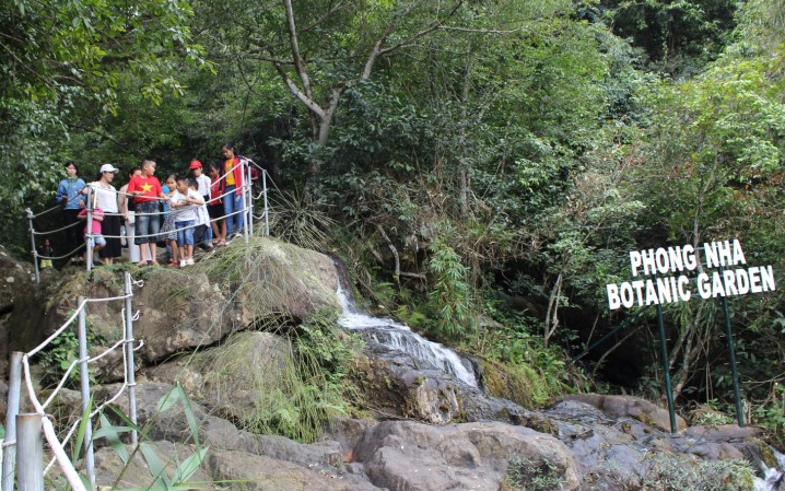 Phong Nha