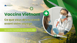 Vaccins Vietnam : Ce que vous devez savoir avant votre voyage