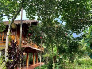 Dormir chez l’habitant au Vietnam : Une immersion unique dans la culture locale et ethnique