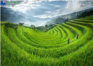 Rizières en terraces, splendeur du grand tableau naturel du Haut Tonkin