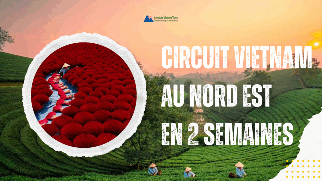 Circuit Vietnam au nord est en 2 semaines