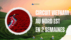 Circuit Vietnam au nord est en 2 semaines
