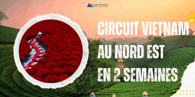 Circuit Vietnam au nord est en 2 semaines