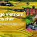 Voyage Vietnam pas cher