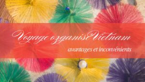 Voyage organisé Vietnam : avantages et inconvénients