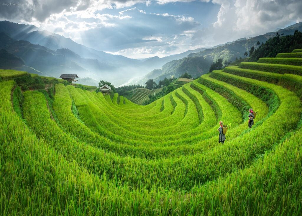 Sapa Vietnam