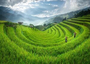 Sapa Vietnam