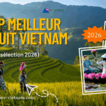 Top meilleur circuit Vietnam (sélection 2026)