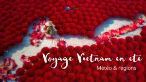 Voyage Vietnam en été : météo & régions
