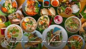 que-ramener-du-vietnam-en-avion