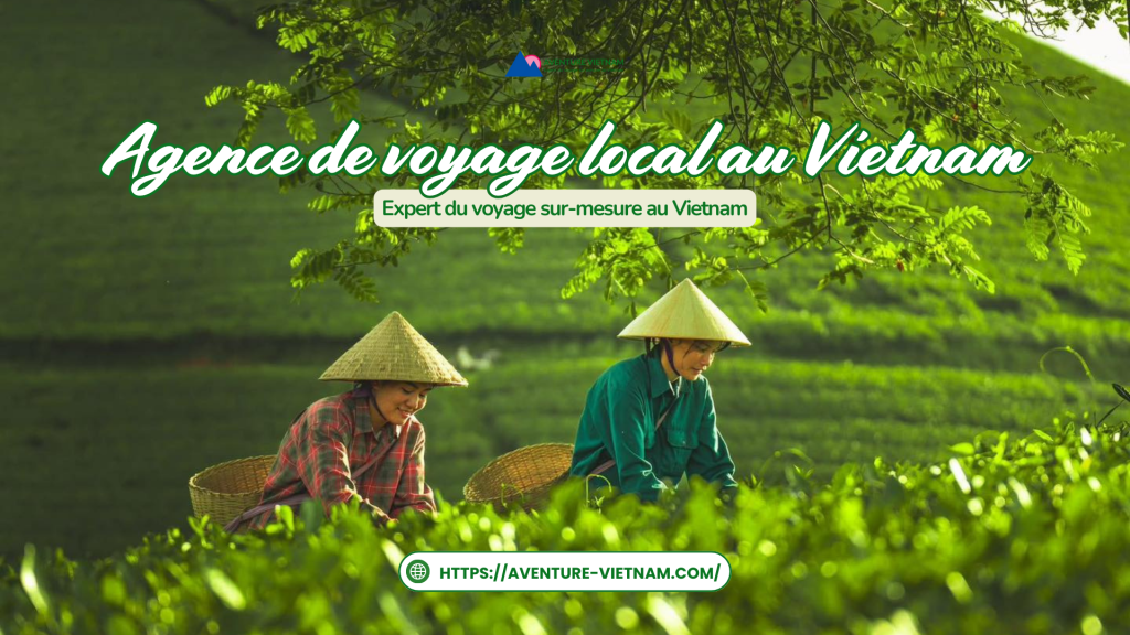 Pourquoi choisir une agence réceptive locale au Vietnam ?