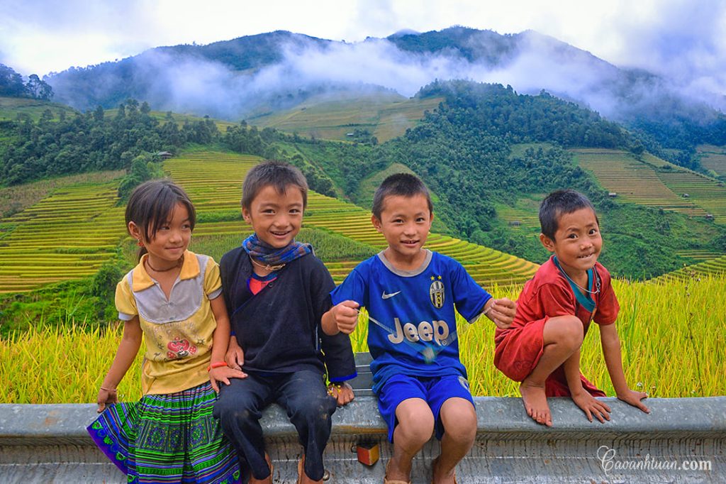 Voyage au Vietnam : top itinéraires et conseils pratiques pour voyageurs