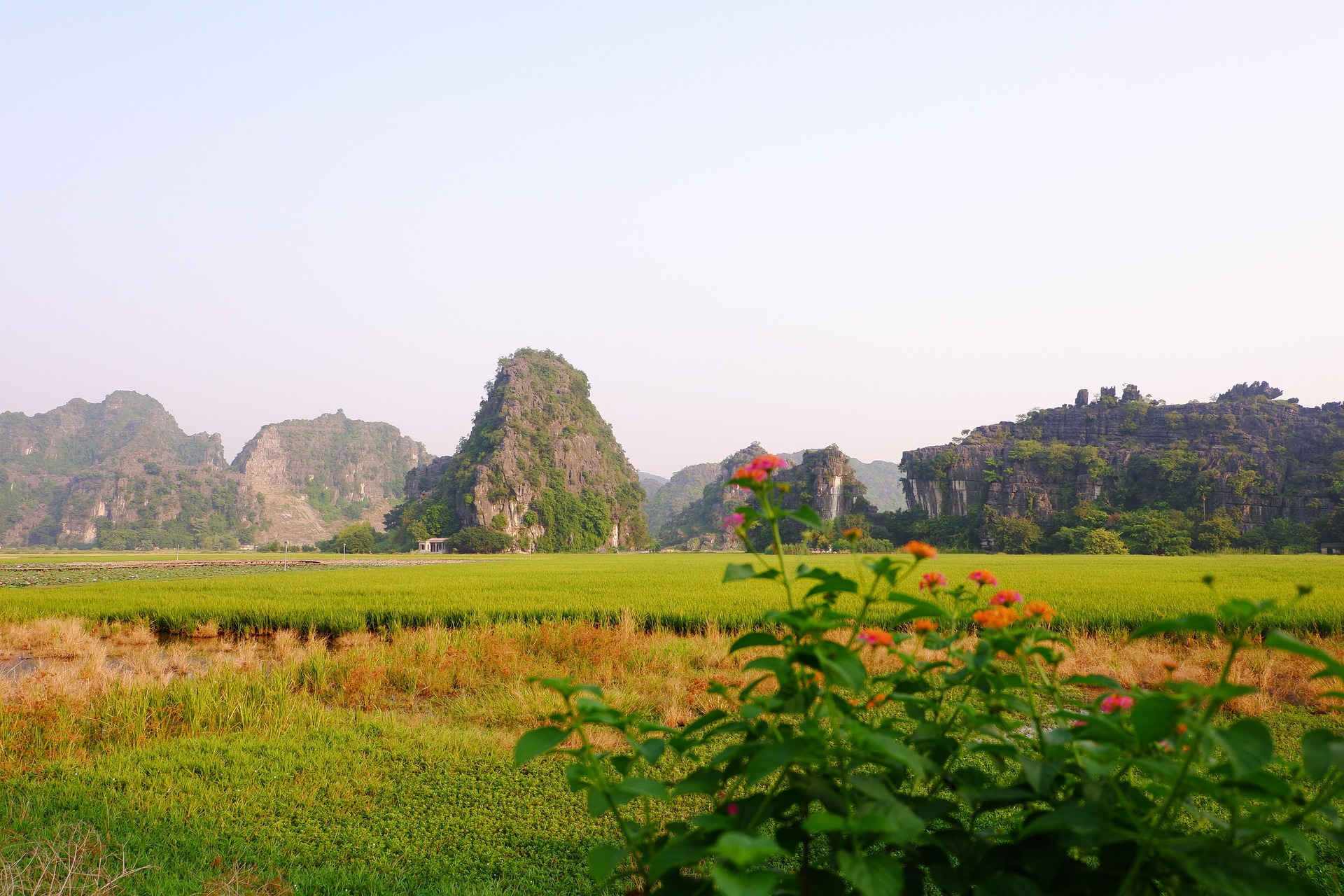 Phong Nam