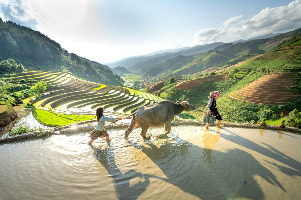 quand partir au vietnam cambodge